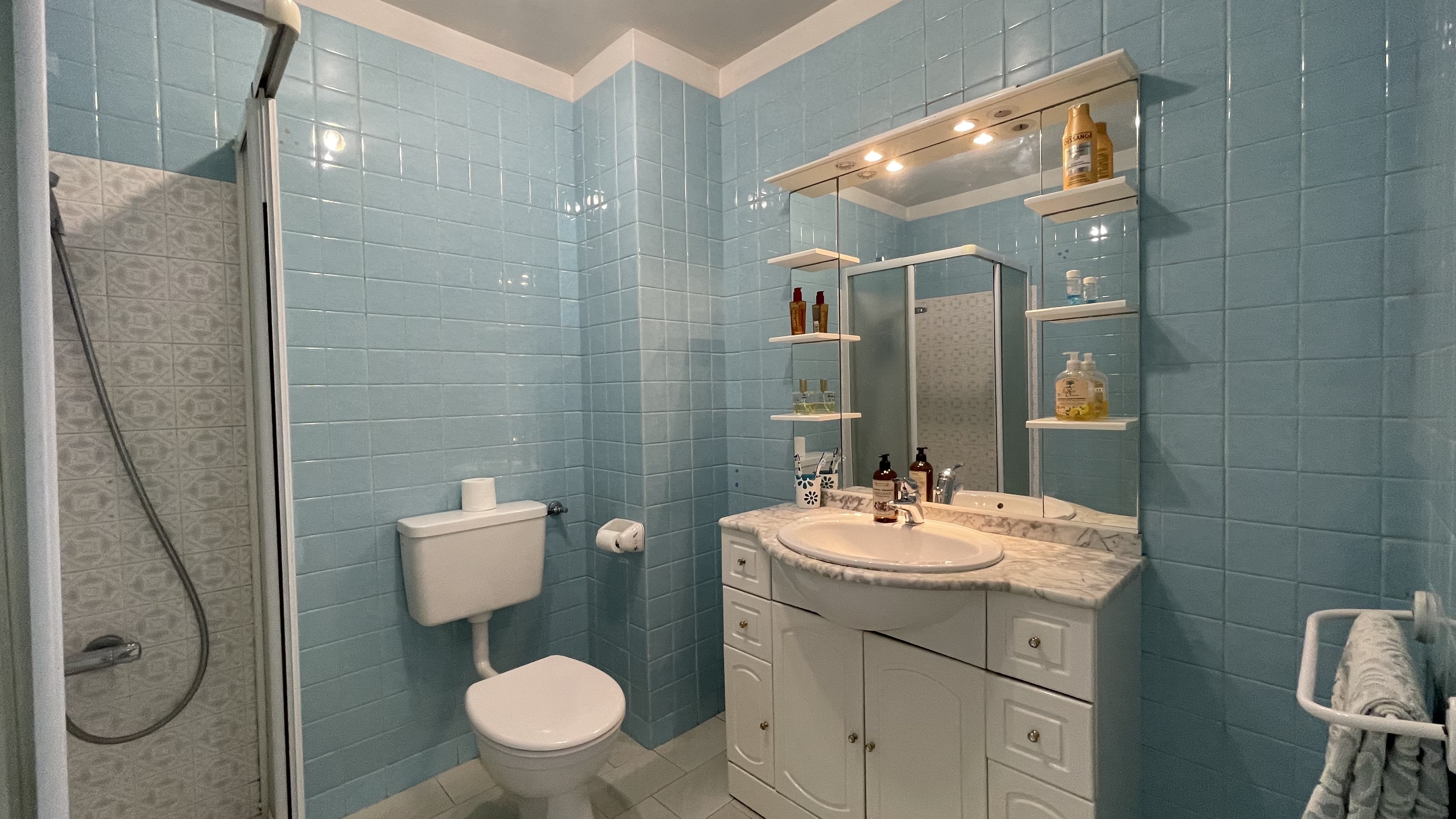 Image_, Maison, Aix-les-Bains, ref :1666