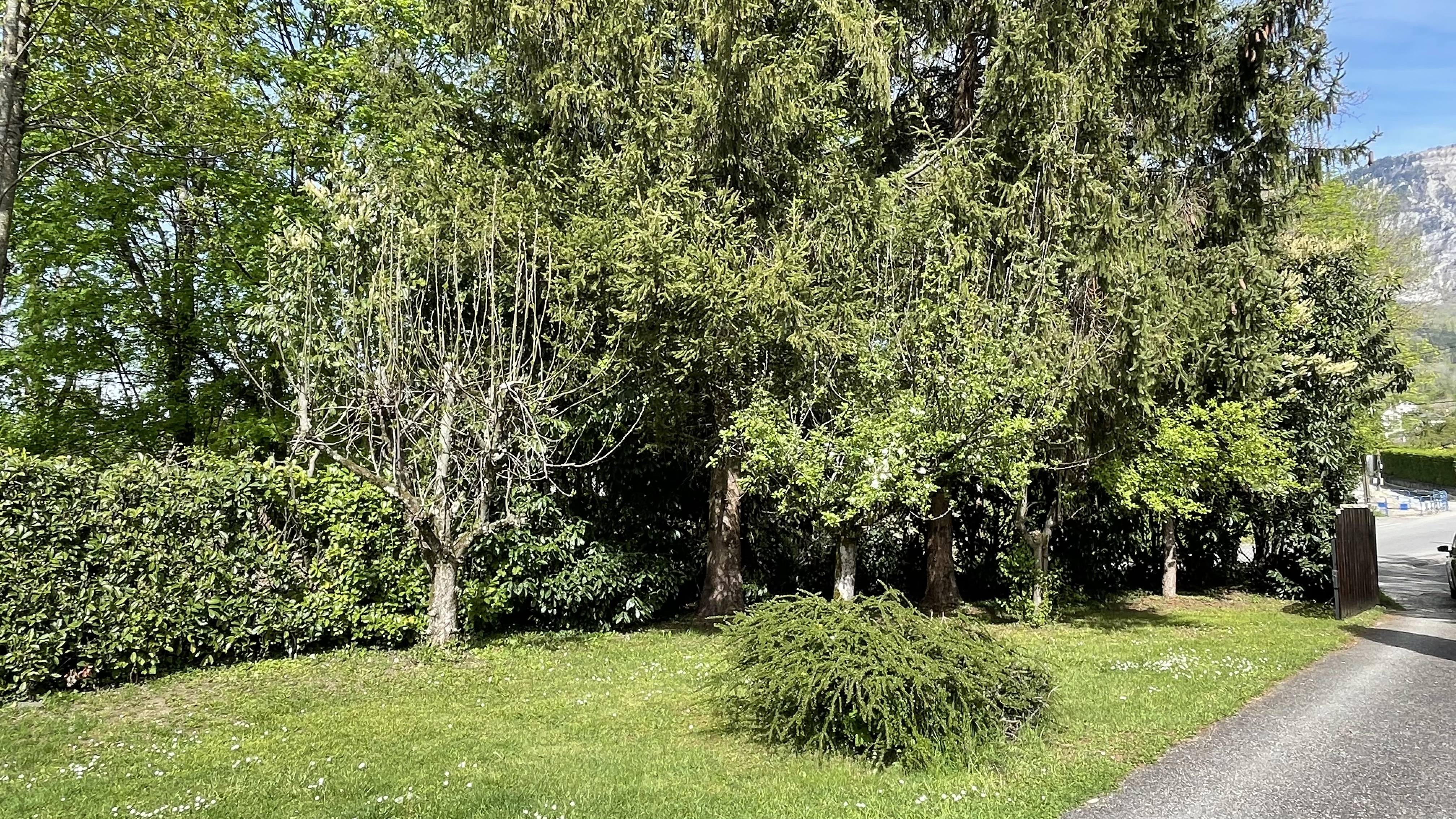 Image_, Maison, Aix-les-Bains, ref :1666